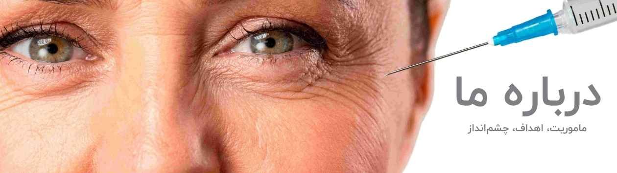 درباره-ما-شاپرک